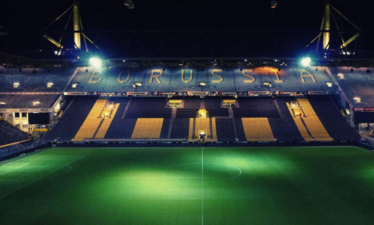 Le guide ultime des tisanes